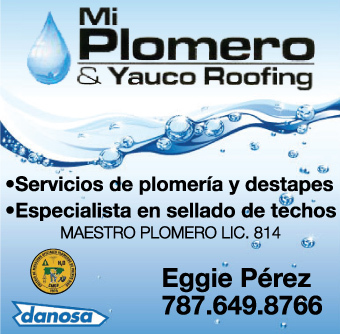                                                                                             Servicios de plomería a residencias, comercios, sellado de techo, remodelaciones de baño, reparaciones de calentadores solares y cisternas.
                                                                                    