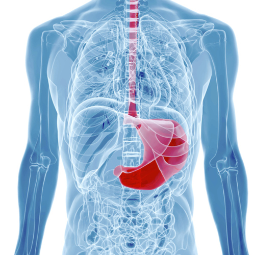                                                                                             Atendemos:
Reflujos
Gastroesofágico 
Prevención de cáncer de colon
Pólipos colónicos
Hepatitis cronica 
Cirrosis
Enfermedades digestivas incluyendo hígado y páncreas.
                                                                                    