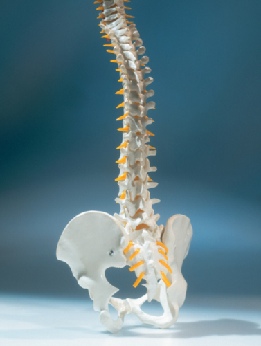 Terapia física para:
Espasmos musculares
Discos herniados
Nervios pinchados
Rehabilitación de condiciones neurológicas
Tratamiento de rehabilitación con láser