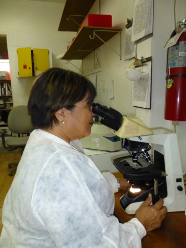                                                                                             • Se aceptan la mayoría de los planes médicos
• Pruebas STAT en una hora
• Análisis clínico, los resultados de rutina, lo tenemos disponibles el mismo día
                                                                                    