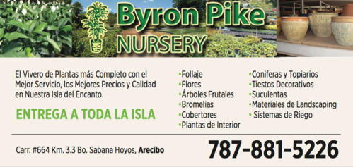                                                                                             Byron Pike
En Byron Pike Nursery encontrarás todo lo que necesitas para tu jardín y el interior de tu hogar: 
• Todo tipo de plantas para interior y exterior
• Piedras y lajas ornamentales
• Tiestos ornamentales en toda una gama de colores
• Diseños y materiales
• Tierra preparada
•Medios para sembrar
• Abonos y químicos para aplicación en plantas
                                                                                    
