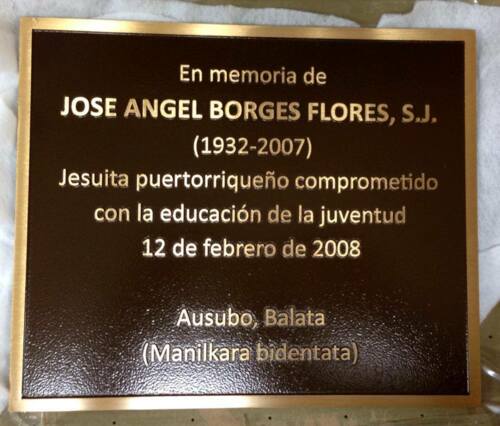                                                                                             •  Placas
•  Trofeos
•  Medallas
•  Cristales
•  Acrílicos
•  Placas en Cerámica
•  Artesanías
•  Pins
•  Sellos de goma
•  Cintas
•  Bolígrafos
•  Cruzacalles/Banners
•  Rótulos
•  Mesh
•  Viniles
•  Micro Perforados
•  D-Boards
•  Sintra
•  Stand banners
•  Rotulación Autos
                                                                                    