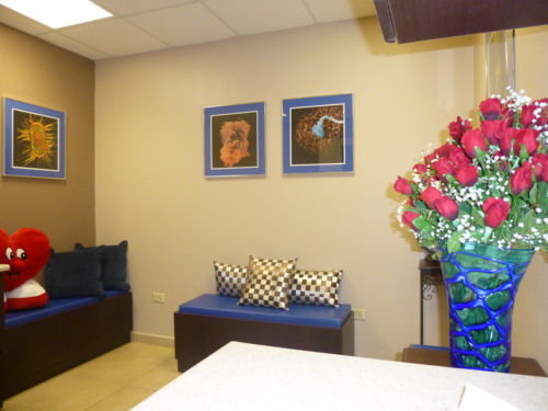                                                                                             En menos de 1 hora:
• Pruebas de COVID-19
• Mycoplasma
• Influenza
• CBC
• Glucosa
• VDRL/RPR
• Urinalisis
• "Bleeding Time"
• Influenza A y B
• Prueba de embarazo
• Occult Blood
• Hematología
• Química
• Parasitología
• Serología

Realizamos:
• Visitas a Domicilio por Cita Previa
• Pruebas de Matrimonio
• Certificados de Salud para Compañías, Industrias y Farmaceúticas
• Pruebas de Dopaje

• Puedes acceder a tus resultados electrónicamente desde cualquier lugar de forma segura.
Contamos con amplio estacionamiento para su comodidad.
                                                                                    