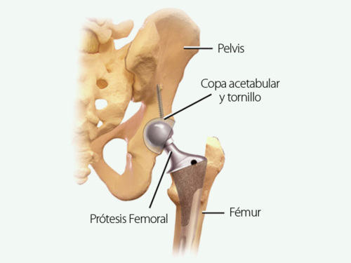                                                                                             Valentín Blasini Richard Dr.
                                                                                    