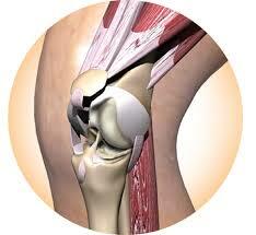                                                                                             Valentín Blasini Richard Dr.
                                                                                    