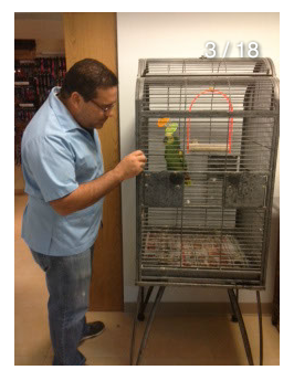 En nuestras instalaciones además podrá encontrar:
• Venta de comida para mascotas
• Collares
• Ropa
• Accesorios
Una atención personalizada es nuestro objetivo gracias a nuestros especialistas Dr. Ricardo Ramírez y Dr. José M. Trujillo.