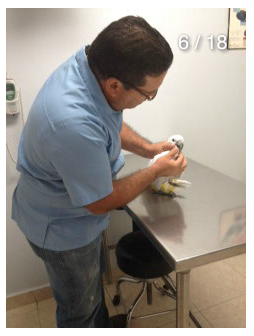 En nuestras instalaciones además podrá encontrar:
• Venta de comida para mascotas
• Collares
• Ropa
• Accesorios
Una atención personalizada es nuestro objetivo gracias a nuestros especialistas Dr. Ricardo Ramírez y Dr. José M. Trujillo.