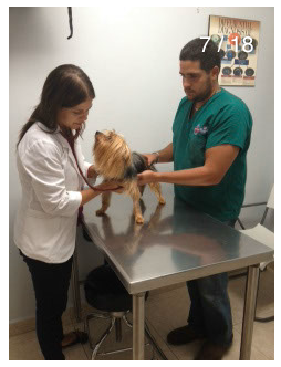 En nuestras instalaciones además podrá encontrar:
• Venta de comida para mascotas
• Collares
• Ropa
• Accesorios
Una atención personalizada es nuestro objetivo gracias a nuestros especialistas Dr. Ricardo Ramírez y Dr. José M. Trujillo.