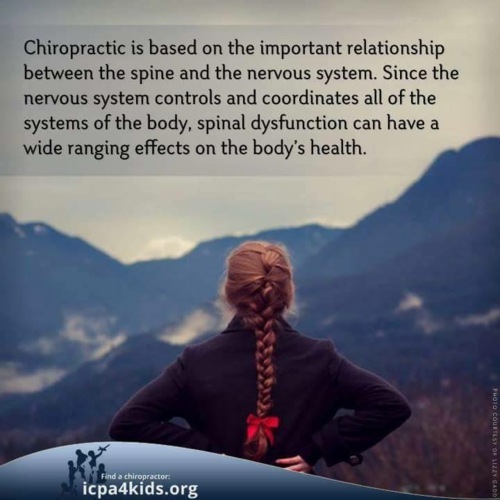 • La primera y primordial técnica en la oficina es la NS de Network Spinal
• Toques precisos y gentiles en ciertos accesos del sistema nervioso en la espina dorsal para fomentar que el cerebro crea nuevas estrategias de bienestar. Estas estrategias se desarrollan a través de dos ondas sanadoras: onda respiratoria y onda somato-psíquica. Estas ondas están asociadas con la liberación espontánea del cordón y tensiones almacenas en la columna relacionada con eventos a través de nuestra vida y los utiliza como fuente energética para la reorganización del sistema nervioso y creación de un nuevo nivel de integración neural. De esta manera se logran y se sostienen los resultados deseados a través de la postura. Esta técnica es fundada por el Dr. Donald Epstein, quiropráctico, y es una de las técnicas quiroprácticas con más investigaciones llevadas a cabo actualmente debido a su modelo único de dinamismo y su asociación con las matemáticas caóticas.
• La segunda técnica utilizada en la oficina es el Método Activador.
• El Método Activador es una técnica quiropráctica que se caracteriza por su instrumento, el Activador, como una alternativa de ajuste a los ajustes manuales óseos tanto de la columna como de las extremidades.
• Este instrumento tiene cuatro niveles de intensidad baja, donde cada nivel es específico para cierta área del cuerpo. Esta idea innovadora desarrollada por los doctores Warren Lee y Arlan Fuhr, quiroprácticos, y es una de las técnicas quiroprácticas con más investigaciones clínicas que apoyan su eficacia y una de las técnicas con mayor apoyo clínico por Medicare.