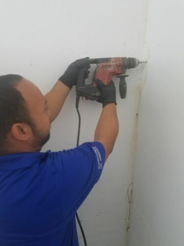                                                                                             All Exterminating
Comején Subterráneo
Comején Arbóreo
Hormigas
Plagas
Roedores
Mosquitos
Polillas
Palomas
Pulgas y Garrapatas
Servicio de Desinfección
                                                                                    