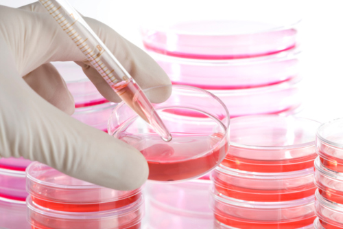                                                                                             •Pruebas químicas en general 
•Cultivo general 
•Urinálisis 
•Pruebas de embarazo 
•CBC en Minutos 
•Pruebas de Dopaje 
•Pruebas de Coagulación
                                                                                    