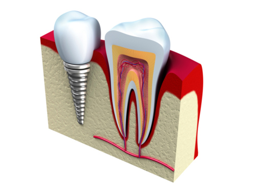 Clinica Y Laboratorio Dental Toa Alta Heights Infopaginas