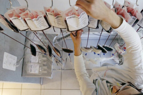 Banco de sangre
Tu Donación podría salvar alguno de tus seres querido, donar es sumamente sencillo, llámanos y te orientamos.
Somos el único banco de sangre en todo el Este de Puerto Rico. Abierto desde 1993. Servimos a todos los hospitales del área Este.