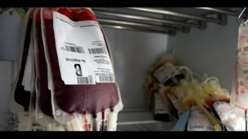 Banco de sangre
Tu Donación podría salvar alguno de tus seres querido, donar es sumamente sencillo, llámanos y te orientamos.
Somos el único banco de sangre en todo el Este de Puerto Rico. Abierto desde 1993. Servimos a todos los hospitales del área Este.