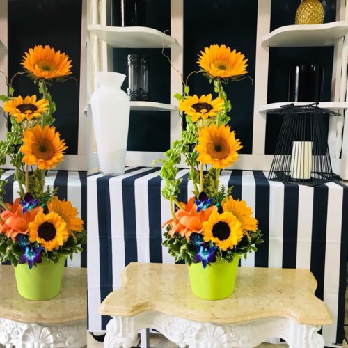                                                                                             Floristería (Todo tipo de flores), Flores para todo tipo de eventos, Flores al detal, Plantas, Arreglos para bodas, Bouquet, Diseños Florales y Otros.
Puede hacer su orden y pago por teléfono. 
Tenemos servicio de entrega.
                                                                                    