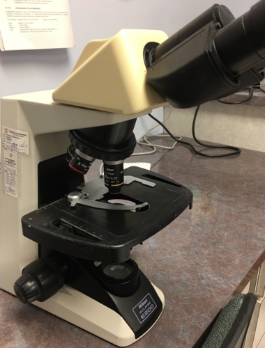                                                                                             • Prueba de influenza
• CBC
• Pruebas de embarazo
• Pruebas WIC
• Pruebas de dopaje
• Pruebas de tiroide
• Pruebas de lípido (colesterol y triglicéridos)
• Pruebas para matrimonio
• Pruebas de hemoglobina
• Servicio al hogar
• Resultados en 24 horas (pruebas de rutina)
• Resultados Electronicamente
                                                                                    