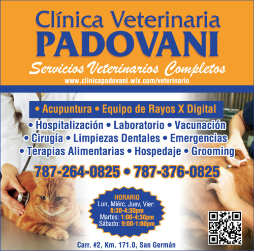                                                                                             • Vacunación
• Examen Médico
• Grooming
• Hospedaje
• Acupuntura Animal
• Dietas Nutricionales
• Cirugías﻿
• Emergencias
• Laboratorios
• Rayos X
• Limpieza dentales
                                                                                    