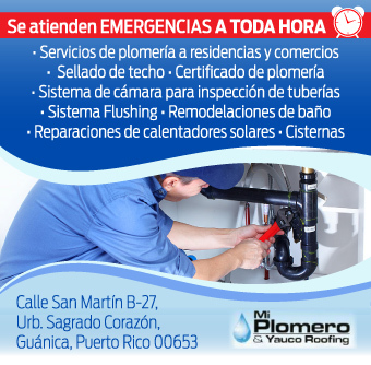                                                                                             Servicios de plomería a residencias, comercios, sellado de techo, remodelaciones de baño, reparaciones de calentadores solares y cisternas.
                                                                                    