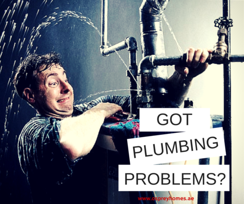                                                                                             Servicios de plomería a residencias, comercios, sellado de techo, remodelaciones de baño, reparaciones de calentadores solares y cisternas.
                                                                                    