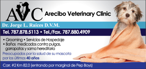 arecibo-veterinary-clinic
Rayos-X
Cirugía
Hospedaje
Grooming
Esterilización