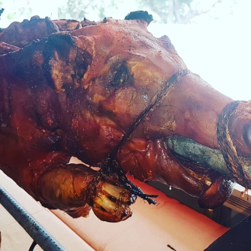 Lechon Asado con Kuerito- Carne Ahumada, Cuajito, Longaniza. ¡Los mejores MOJITOS! BOHEMIA los Viernes