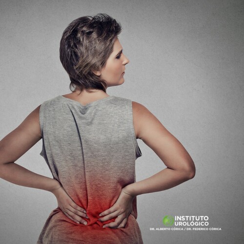 • Urología General
• Urología de Hombres y Mujeres
• Tratamiento con láser "luz Verde" para el tratamiento de próstata • Ambulatorio Litotricia tratamiento Ambulatorio de Piedras Vasectomía
• Circuncisión Infertilidad y disfunción eréctil
• Cáncer De Próstata
• Dificultad para orinar Hombres y Mujeres
• Incontinencia urinaria Cirugía Mínimamente Invasiva Especializada en Urología y Salud