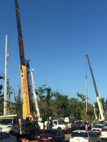                                                                                             • La versátil grúa de 350 Toneladas de capacidad con 197 pies de puntal “full power”, y con hasta 62 pies de jiba adicionales "swingaway extensión" ó 69-200 pies “luffing jib”.

• Grúas de Todo Terreno agreste (cherry pickers) con diversas capacidades. 

• Grúas hidráulicas de 70 Toneladas, con 138 pies de puntal “full power” y 56 pies de jiba tipo “swing-a away”.  Debido a su ancho así como su sistema de viraje en todas sus ruedas la hacen ideal para lograr acceso a lugares incómodos entre otras...
                                                                                    