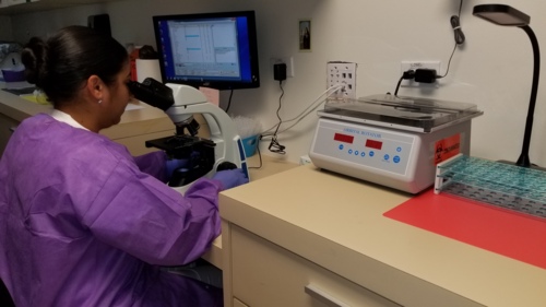                                                                                            Pruebas Rápidas: 
-Influenza A-B
-Pruebas de Embarazo
-Pruebas de Wic
-Pruebas Dopaje (Panel 3)
-Pruebas de Rutina: 
-CBC
-CMP (Comprehensive Metabolic Panel)
-BMP (Basic Metabolic Panel)
-Lipid Panel 
Pruebas Especiales: 
-TSH
-PSA
-Marcadores de Cancer
-Vitaminas
-Inmunología
-Coagulación
-Micronutrientes
-entre otras
Pruebas Infeciosas:
-HIBV
-Hepatitis
-Herpes
-Sífilis
-Clamidia
-Gonorrea
Pruebas para el Certificado de Salud
                                                                                    
