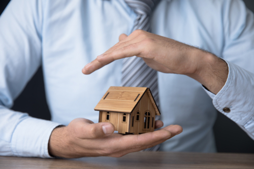                                                                                             Representante Seguros Múltiples - Independent
                                                                                    