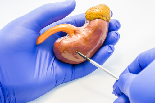 Brindando servicio desde 1995, especialista en enfermedades del riñón e hipertensión. Llámenos para más información y separar cita con el doctor.