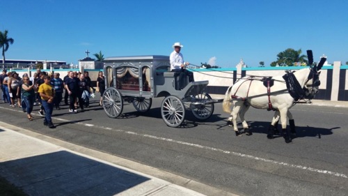 Servicios básicos del Director y personal
• Embalsamamiento
• Permiso de enterramiento
• Uso de facilidades o uso de equipo y personal para servicio en la residencia
• Recogido del cuerpo o traslado a la funeraria
• Carroza fúnebre (Caballos o Bueyes)
• Libro de registro de firmas
• Recordatorios
• Emblema religioso
• Ataúd
• Servicio religioso
• Servicio de esquelas en los principales periódicos del país
• Servicio de limusina
• Tarjetas de expresiones de gratitud
• Carro floral
• Guagua de sonido
• Servicio de floristería
• Exhumación y traslado
• Servicios provenientes de otros países
• Funerales directos
• Ambulancias
