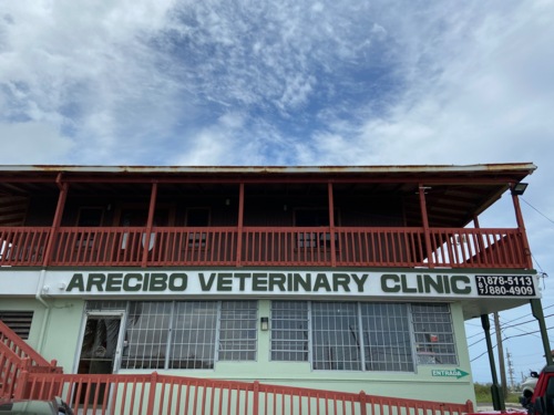 arecibo-veterinary-clinic
Rayos-X
Cirugía
Hospedaje
Grooming
Esterilización