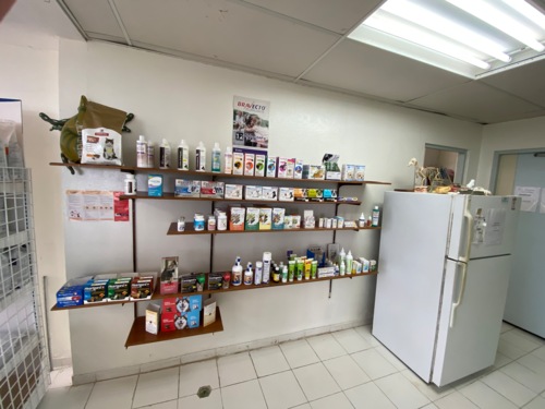 arecibo-veterinary-clinic
Rayos-X
Cirugía
Hospedaje
Grooming
Esterilización