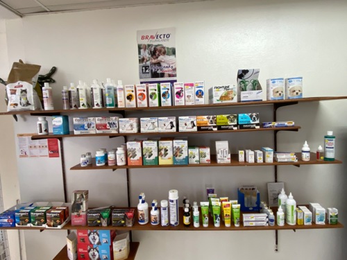 arecibo-veterinary-clinic
Rayos-X
Cirugía
Hospedaje
Grooming
Esterilización