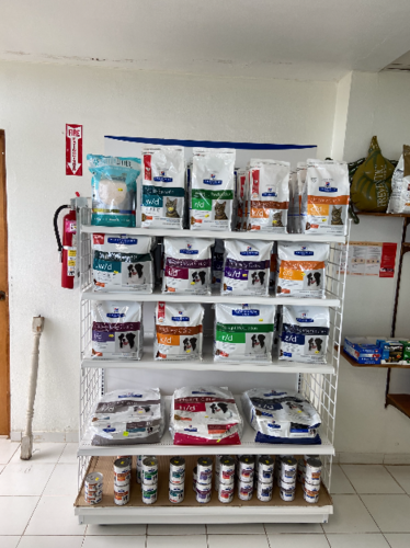 arecibo-veterinary-clinic
Rayos-X
Cirugía
Hospedaje
Grooming
Esterilización