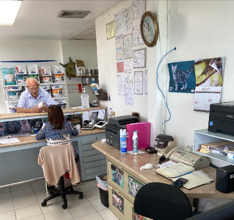 arecibo-veterinary-clinic
Rayos-X
Cirugía
Hospedaje
Grooming
Esterilización