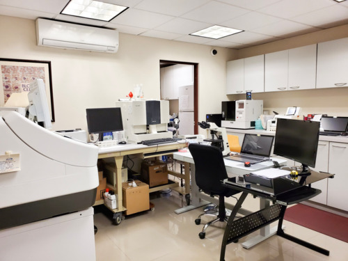                                                                                             • Toma de Muestras en el Hogar, Oficina o Industria
• Pruebas de Dopaje
• Pruebas para Certificado de Salud Y Pruebas de Dopaje en 1 hora.
• Pruebas para Certificados de Matrimonio con Resultados en 24 Horas
• Resultados Electrónicos
• Recibo de Órdenes Médicas Electrónicas para minimizar el riesgo de nuestros pacientes de exponerse al Covid-19
                                                                                    