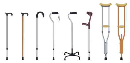                                                                                             • Joyería Forever Cristal
• Envoltura de regalo
• Departamento de equipo médico, muletas andadores, bastones
• Gran variedad de efectos y equipos escolares y de oficina
• Juguetes
• Perfumería y cosméticos.
• Carteras
• Mini market
• Joyería
                                                                                    