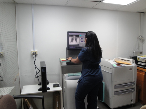                                                                                             • Rayos X
• Sonografía
• Sonomamografía
• Mamografía
• Densitometría Ósea
                                                                                    