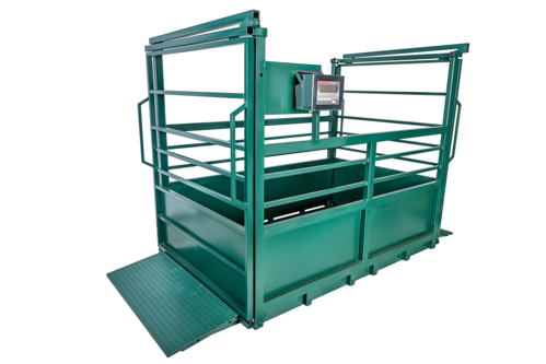                                                                                             Tenemos balanzas y accesorios para todas sus necesidades: Pesas para animales, Camiones, Colgantes, Comerciales, Médicas, Compactas, Contar, Industriales, Junction Boxes, Legal for Trade (NTEP), Load Cells, Porción, Precisión, Washdown y Usadas.
                                                                                    