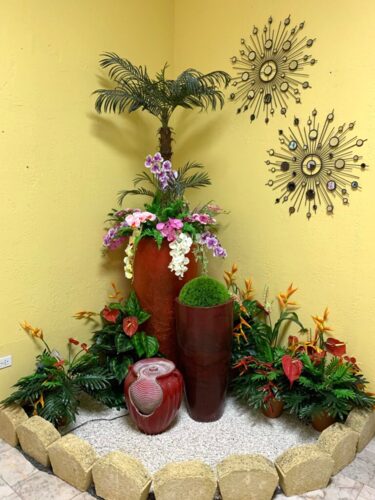 • Amplias y modernas facilidades para satisfacer tu necesidad en el momento del dolor
• Visítanos, verás que somos los mejores
• Aceptamos la mayoría de los planes y tarjetas de crédito