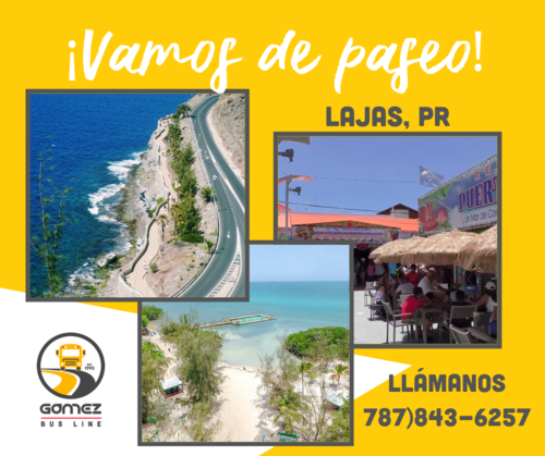 Gómez Bus Line / Caribe Tours
• Excursions
• Travels
• School buses
• Motor Coaches
• Mini buses
• Go
•Shuttle bus
• School, tourist and private transportation to the entire island.