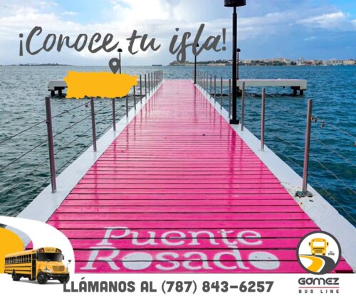 Gómez Bus Line / Caribe Tours
• Excursions
• Travels
• School buses
• Motor Coaches
• Mini buses
• Go
•Shuttle bus
• School, tourist and private transportation to the entire island.