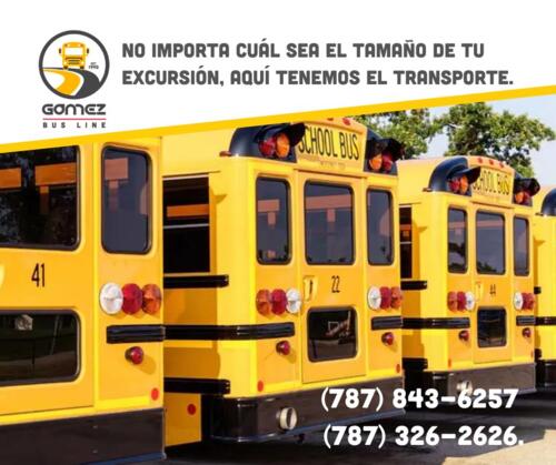 Gómez Bus Line / Caribe Tours
• Excursions
• Travels
• School buses
• Motor Coaches
• Mini buses
• Go
•Shuttle bus
• School, tourist and private transportation to the entire island.