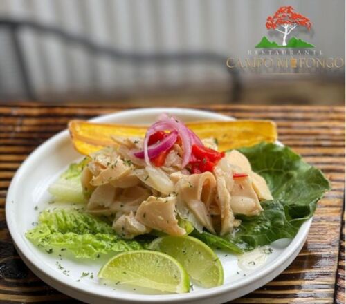                                                                                             Campo Mofongo
• Restaurante
• Coctelería
• Eventos privados (familiar y corporativo)
• Parking
• WiFi
• Pet Friendly
                                                                                    