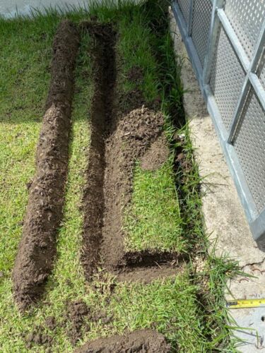                                                                                             Advance Exterminating
• Control de insectos: cucarachas, hormigas, mosquitos, pulgas, garrapatas y chinches
• Exterminación de comején (arbóreo y subterráneo)
• Pre tratamiento de estructuras residenciales, comerciales e industriales
• Control de roedores
• Control de palomas
• Certificaciones
• Desinfección
                                                                                    