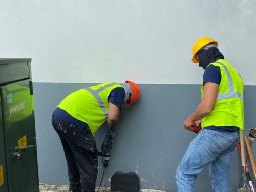                                                                                             Advance Exterminating
• Control de insectos: cucarachas, hormigas, mosquitos, pulgas, garrapatas y chinches
• Exterminación de comején (arbóreo y subterráneo)
• Pre tratamiento de estructuras residenciales, comerciales e industriales
• Control de roedores
• Control de palomas
• Certificaciones
• Desinfección
                                                                                    