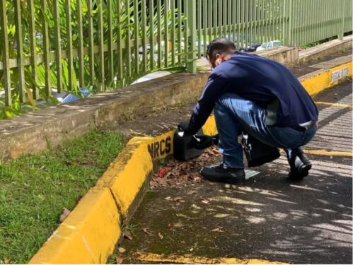                                                                                             Advance Exterminating
• Control de insectos: cucarachas, hormigas, mosquitos, pulgas, garrapatas y chinches
• Exterminación de comején (arbóreo y subterráneo)
• Pre tratamiento de estructuras residenciales, comerciales e industriales
• Control de roedores
• Control de palomas
• Certificaciones
• Desinfección
                                                                                    