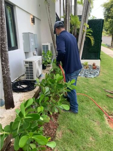                                                                                             Advance Exterminating
• Control de insectos: cucarachas, hormigas, mosquitos, pulgas, garrapatas y chinches
• Exterminación de comején (arbóreo y subterráneo)
• Pre tratamiento de estructuras residenciales, comerciales e industriales
• Control de roedores
• Control de palomas
• Certificaciones
• Desinfección
                                                                                    