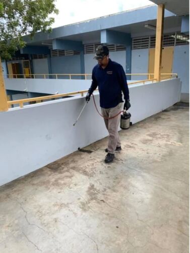                                                                                             Advance Exterminating
• Control de insectos: cucarachas, hormigas, mosquitos, pulgas, garrapatas y chinches
• Exterminación de comején (arbóreo y subterráneo)
• Pre tratamiento de estructuras residenciales, comerciales e industriales
• Control de roedores
• Control de palomas
• Certificaciones
• Desinfección
                                                                                    